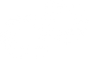 Hosting cPanel